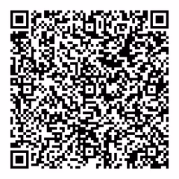 QR Code 1